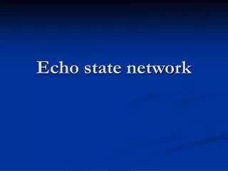 Echo state network