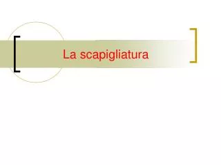 la scapigliatura