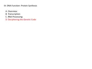 IX: DNA Function: Protein Synthesis A. Overview: B. Transcription: C. RNA Processing: