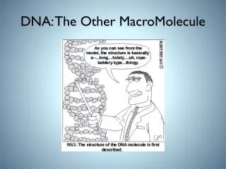 DNA: The Other MacroMolecule