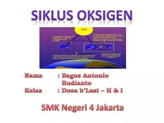 siklus oksigen