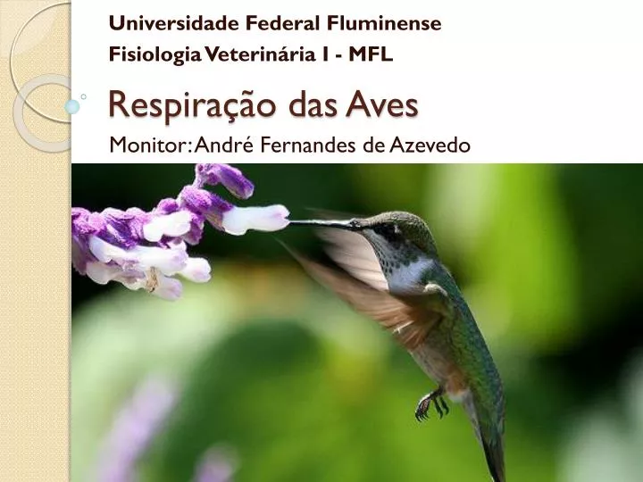 respira o das aves