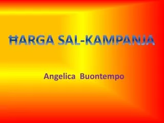 arga sal kampanja