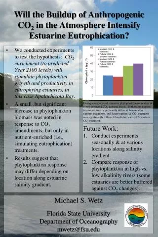 Will the Buildup of Anthropogenic CO 2 in the Atmosphere Intensify Estuarine Eutrophication?