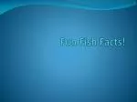 Fun Fish Facts! - slide 1