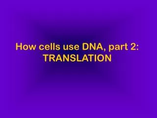 How cells use DNA, part 2: TRANSLATION
