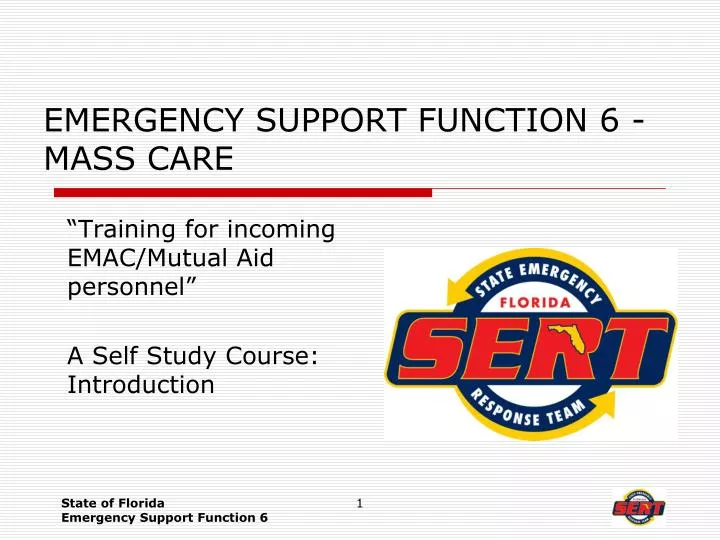 emergency support function 6 mass care