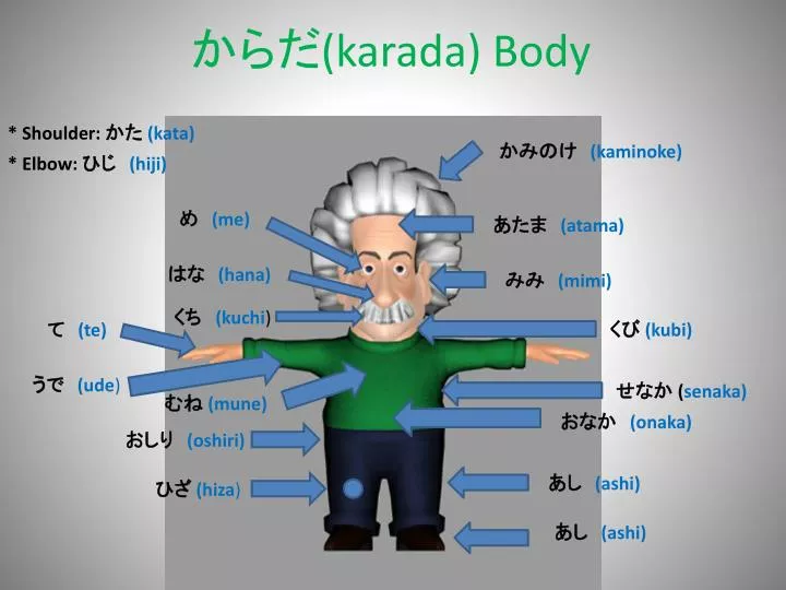 karada body