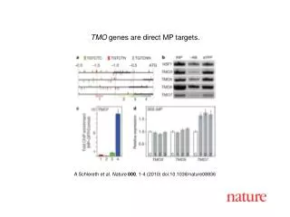 A Schlereth et al. Nature 000 , 1 - 4 (2010) doi:10.1038/nature08 836