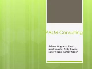 PALM Consulting
