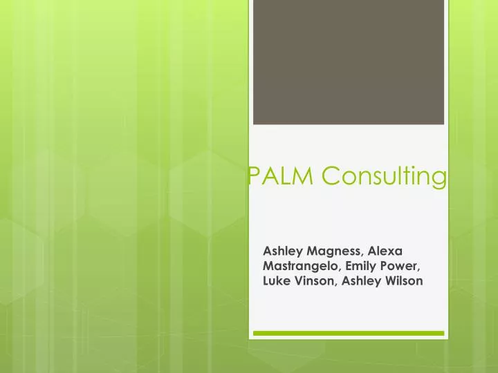palm consulting