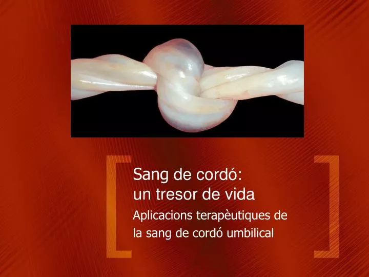 sang de cord un tresor de vida