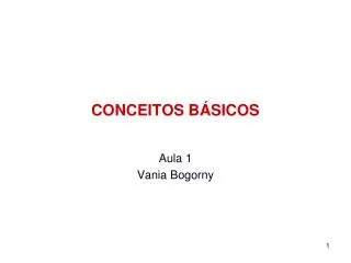 conceitos b sicos
