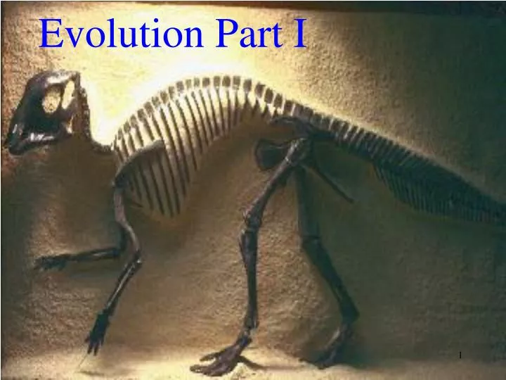 evolution part i