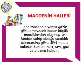 madden n haller