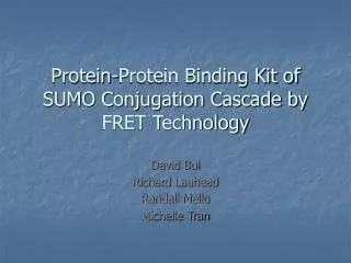 Protein-Protein Binding Kit of SUMO Conjugation Cascade by FRET Technology