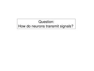 Question: How do neurons transmit signals?