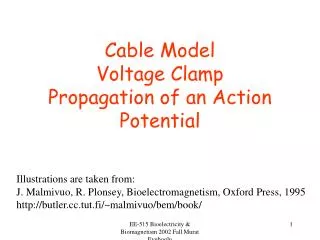 Cable Model Voltage Clamp Propagation of an Action Potential