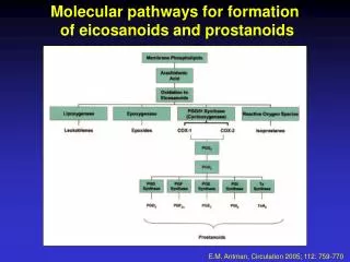 Molecular pathways for formation of eicosanoids and prostanoids