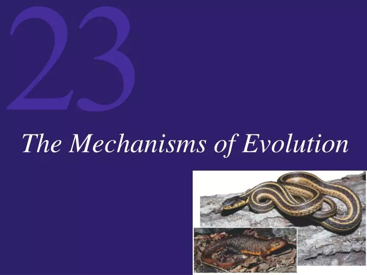 the mechanisms of evolution