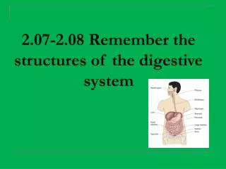 2.07-2.08 Remember the structures of the digestive system