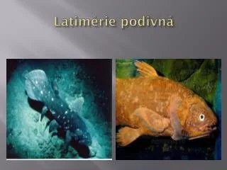 latim rie podivn