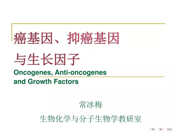 oncogenes anti oncogenes and growth factors