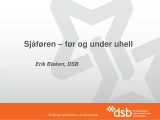 sj f ren f r og under uhell erik bleken dsb