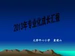 2013 年专业化成长汇报 - slide 1