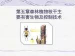 第五章森林植物枝干主要有害生物及控制技术 - slide 1