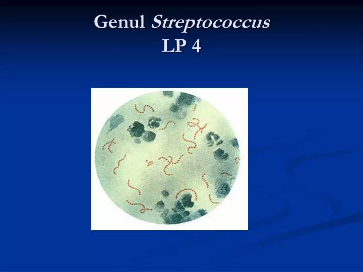 genul streptococcus lp 4