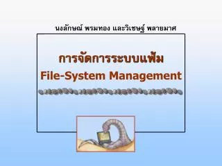 file system management