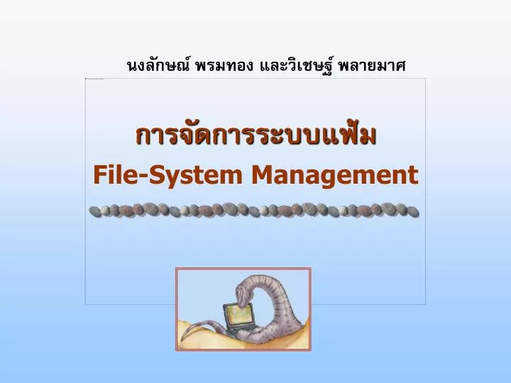 file system management