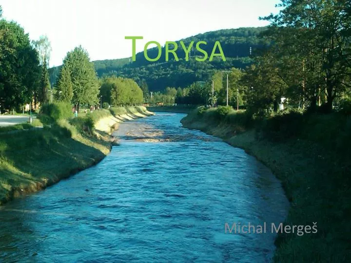 torysa