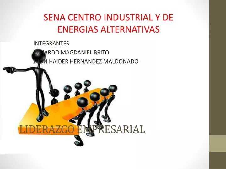 liderazgo empresarial