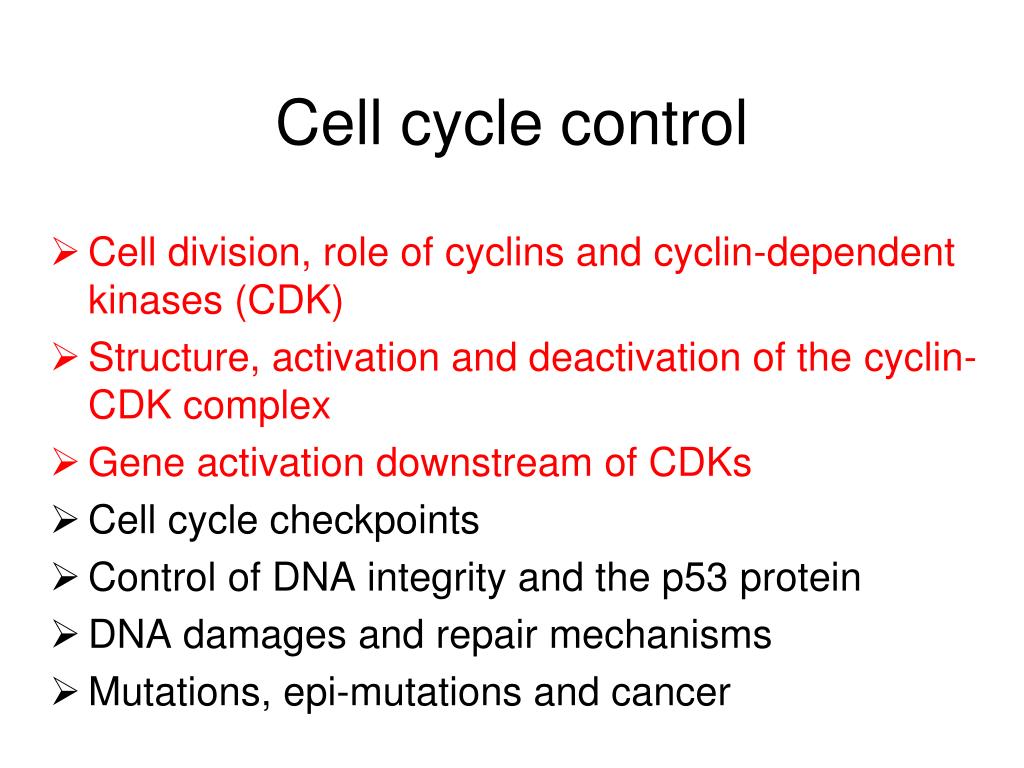 PPT - Cell cycle control PowerPoint Presentation, free download - ID ...