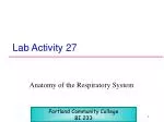 Understanding the Anatomy of the Respiratory System - slide 1