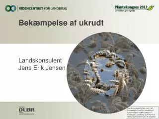 bek mpelse af ukrudt