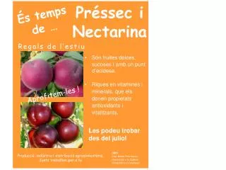 pr ssec i nectarina