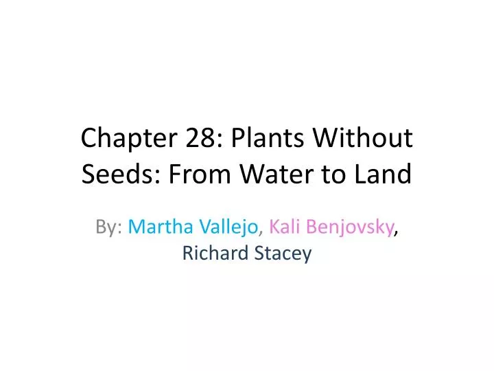 chapter 28 plants without seeds from water to land