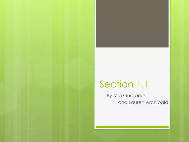 section 1 1