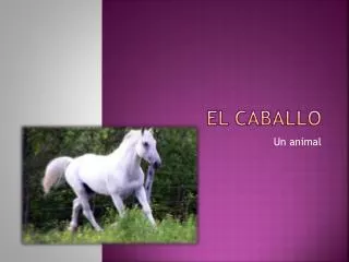 el caballo