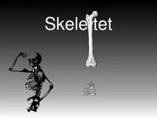 skelettet