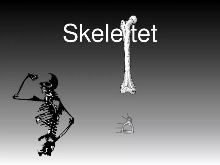 skelettet