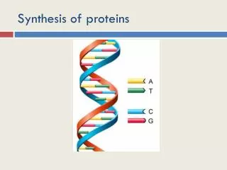 Synthesis of proteins