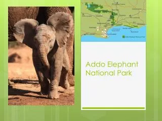 Addo Elephant National Park