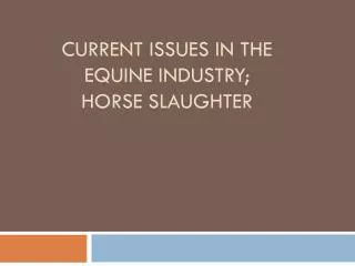 Current Issues in the equine Industry; Horse Slaughter