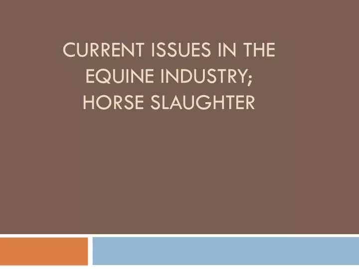 current issues in the equine industry horse slaughter