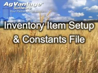 Inventory Item Setup &amp; Constants File