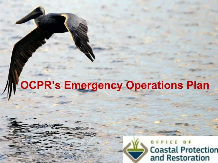 ocpr s emergency operations plan